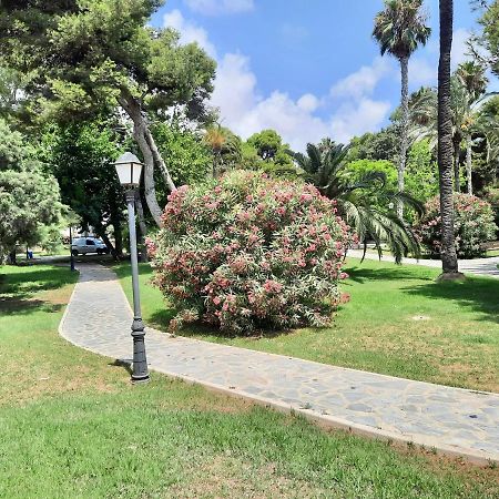 Sinforosa Park Apartments Torrevieja Eksteriør bilde