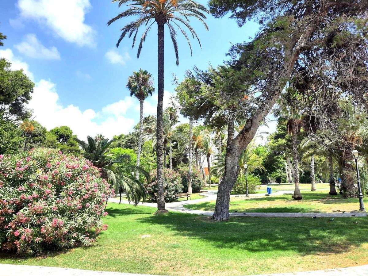 Sinforosa Park Apartments Torrevieja Eksteriør bilde
